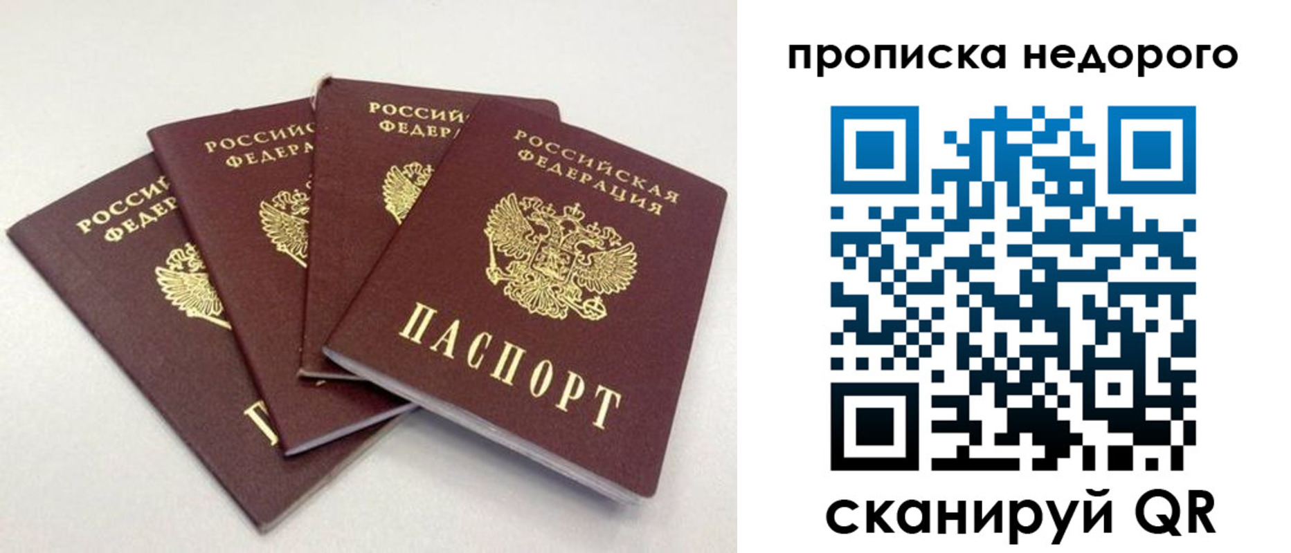 прописка законно в Камышлове